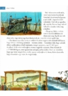 Jules Verne történetei - Napraforgó Kiadó