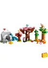 LEGO® DUPLO 10974 Ázsia vadállatai