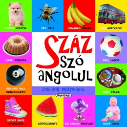 Száz szó angolul - idegen nyelvi foglalkoztató könyv matricákkal