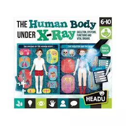 HEADU - Az emberi test röntgen alatt - logikai puzzle (angol nyelvű)
