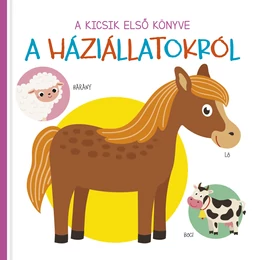 A kicsik első könyve - A háziállatokról - Palincs Játék