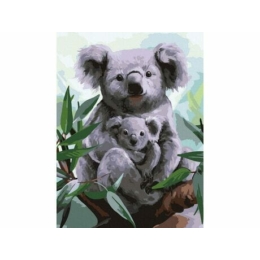 Koala - számfestő keretre feszített vászonnal - 30x40 cm