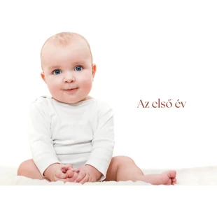 Az első év