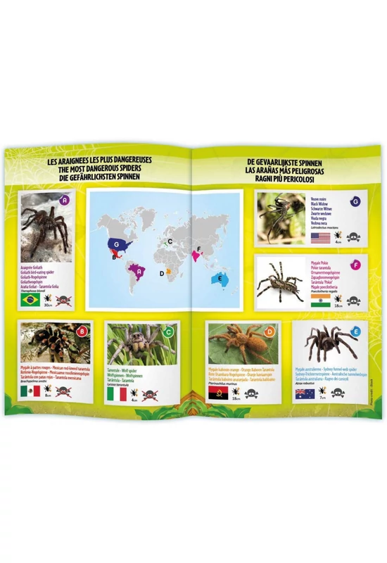 BUKI - Távirányítós RC Pók - Tarantula