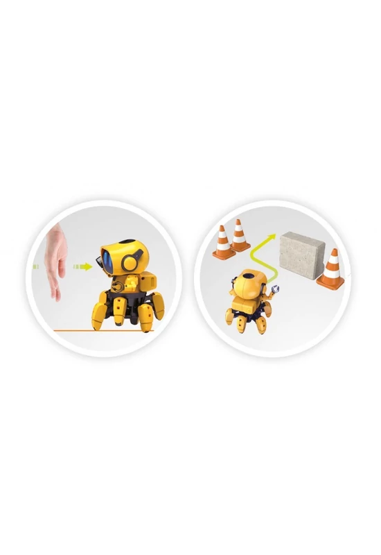 BUKI - TIBO - robot