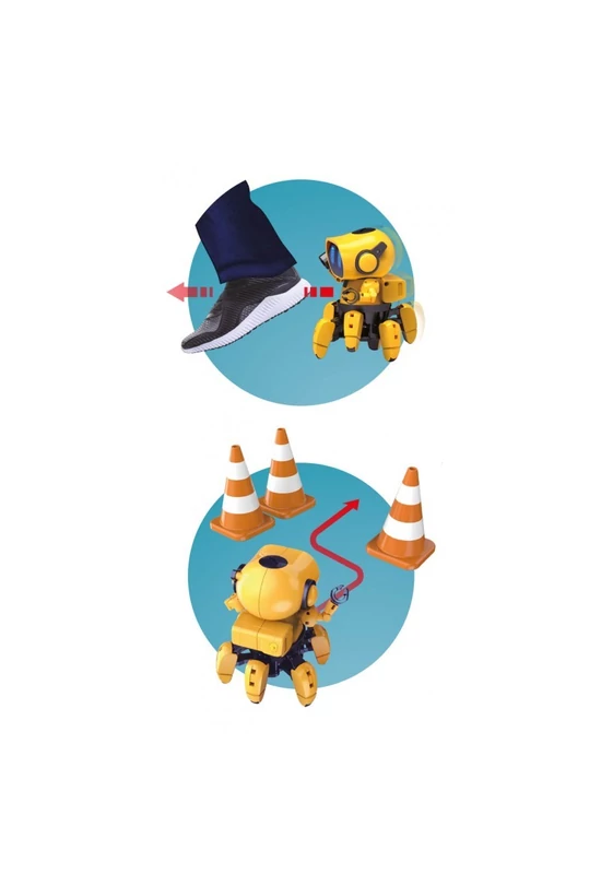 BUKI - TIBO - robot