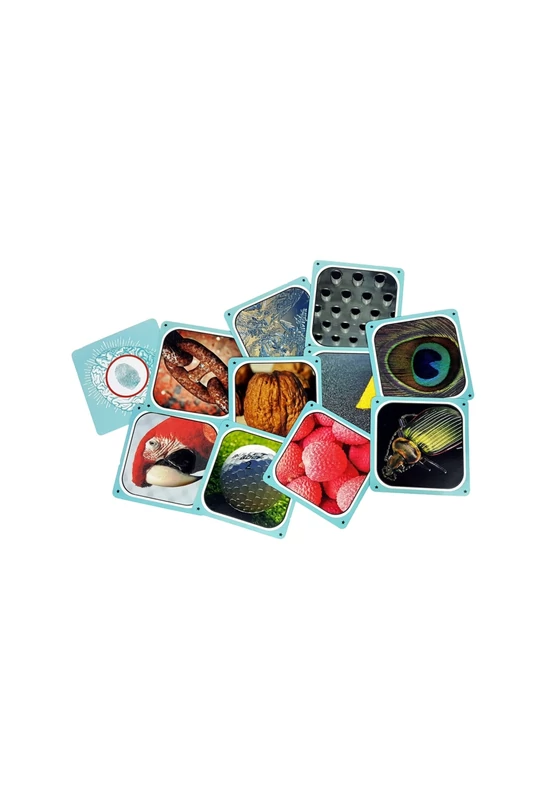 ASMODEE - Cortex 2 - logikai társasjáték