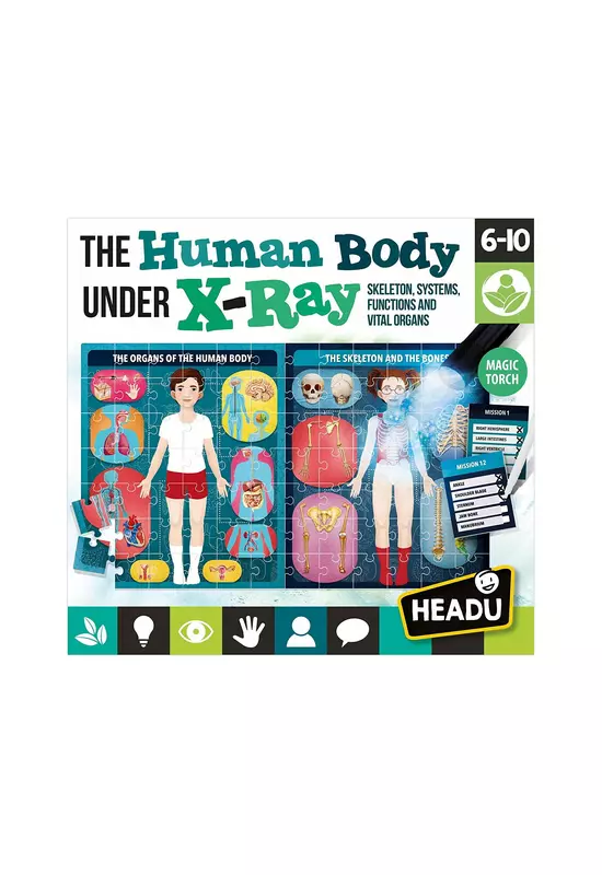 HEADU - Az emberi test röntgen alatt - logikai puzzle (angol nyelvű)