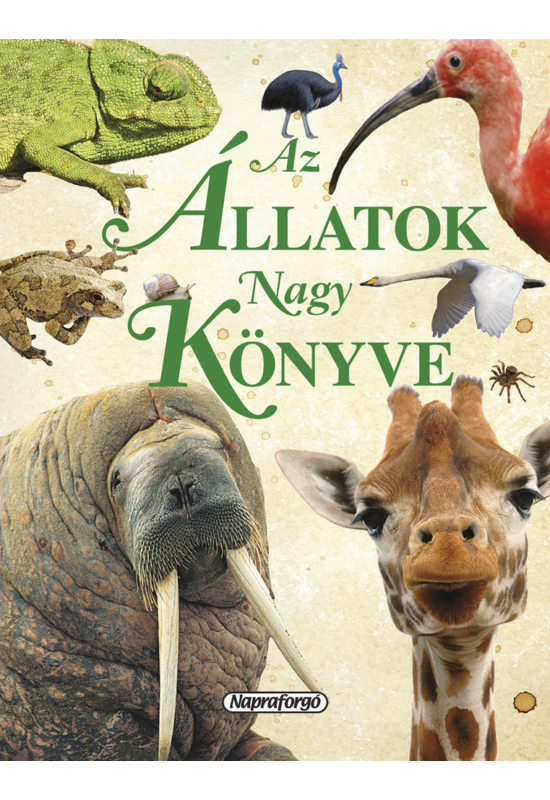 Az állatok nagy könyve - Napraforgó Kiadó - Palincs Játék