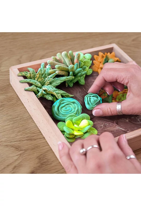 Sensory art - Gyurma művészet - Succulensek - Kövirózsa kert - Kreatív készlet