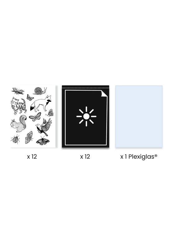 Művészeti műhely - Napnyomat kezdő készlet - Cyanotype Starter Kit